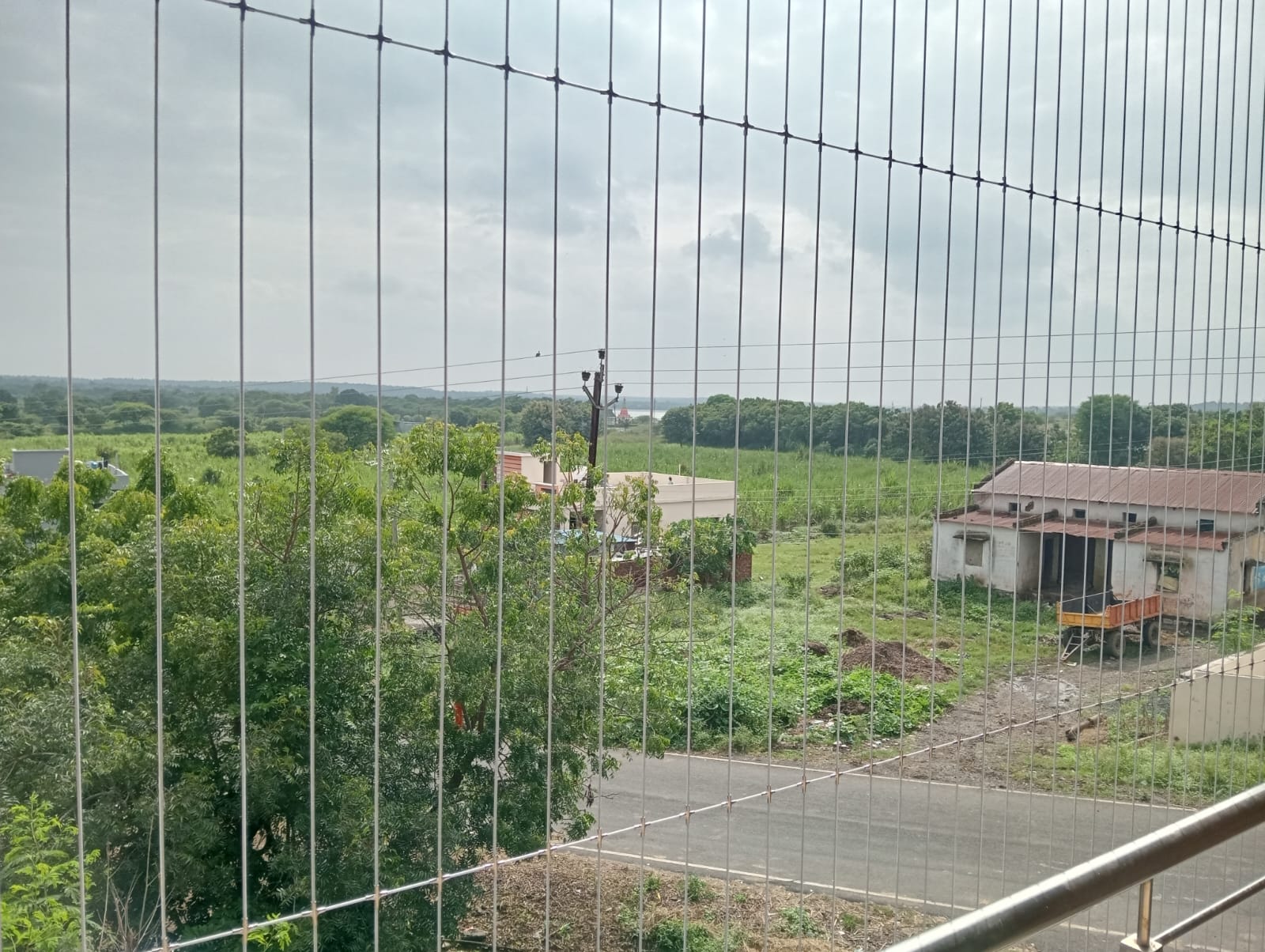 Pigeon Control Net Installation — Tanmay Bird Netting Services