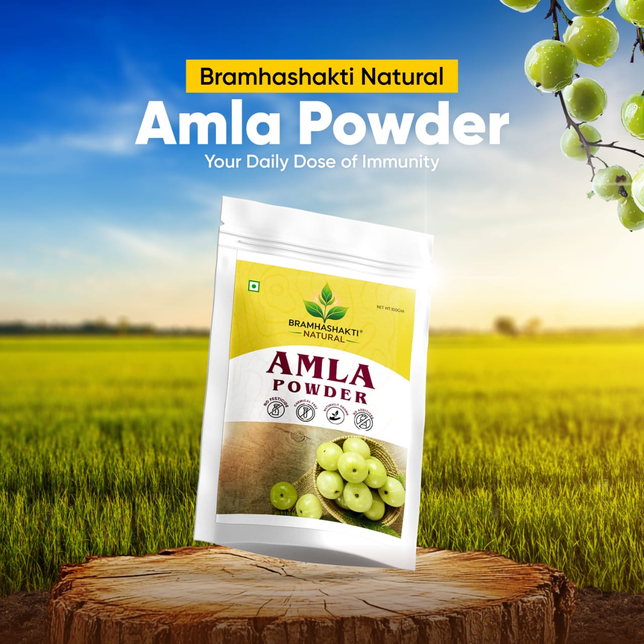 Amla Powder — BRAMHA SHAKTI NATURALS