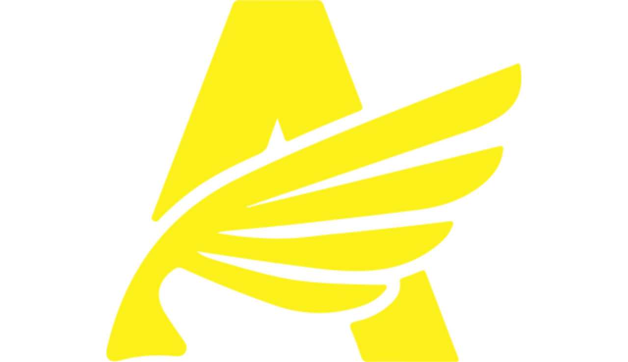 Aerion Aerospace Private Limited logo